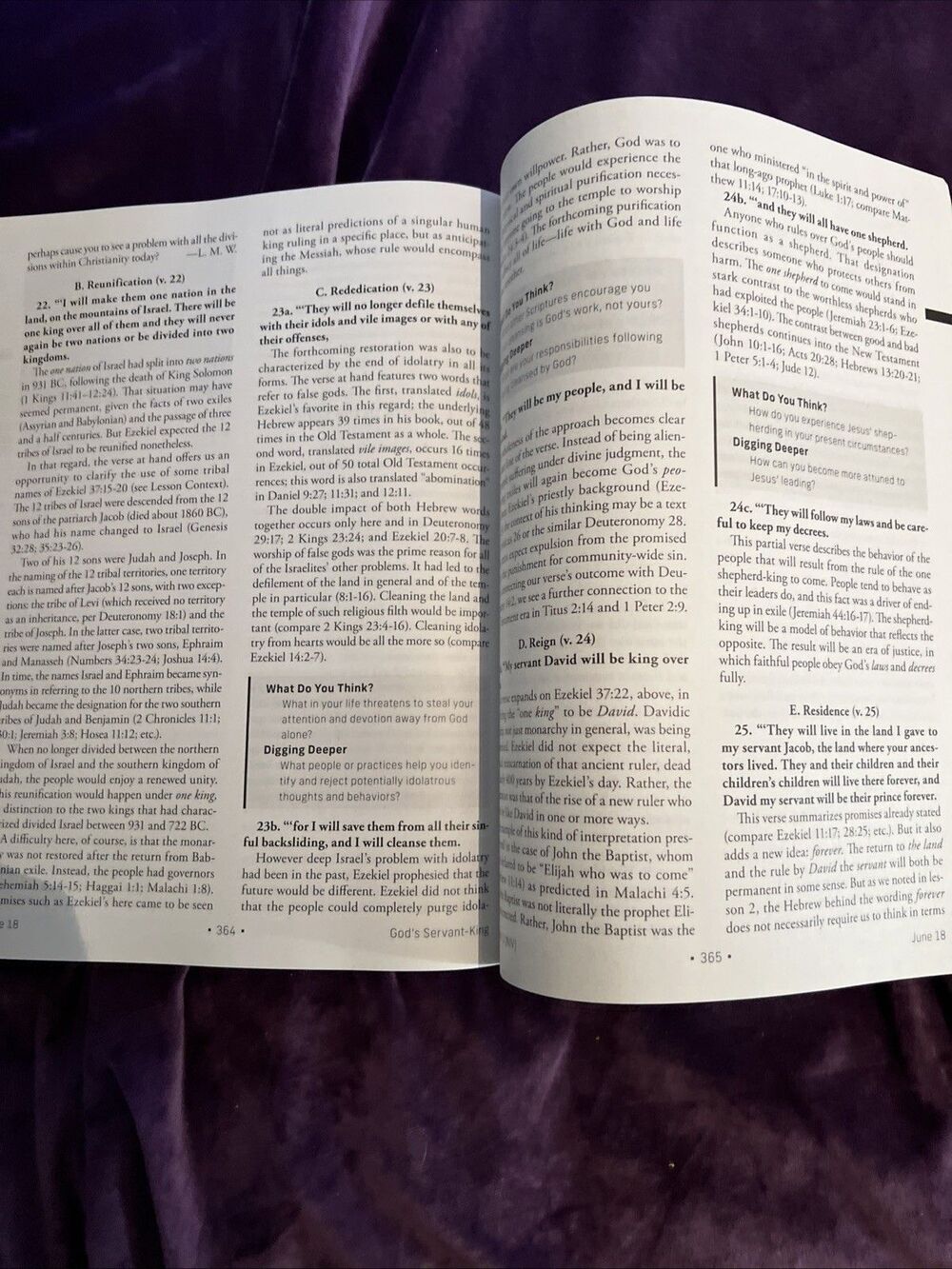 Standard Lesson Comm Ser.: NIV® Standard Lesson Commentary® Large Print Edition - Picture 10 of 10